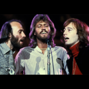 The Bee Gees