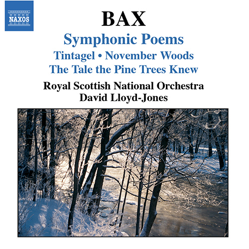 BAX: Symphonic Poems