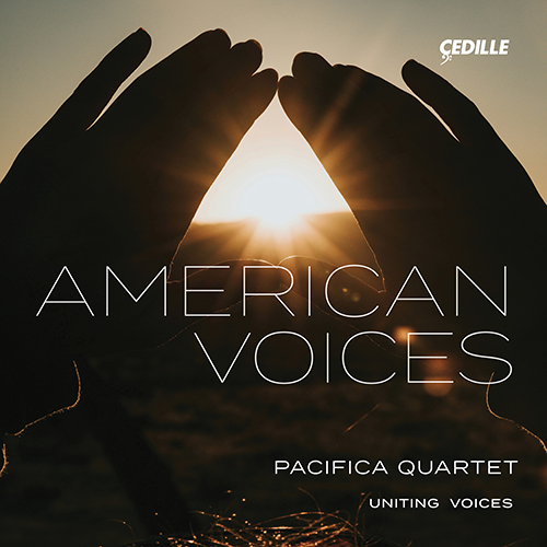 American Voices – DVORÁK, A. • GRUENBERG, L. • PRICE, F.B.